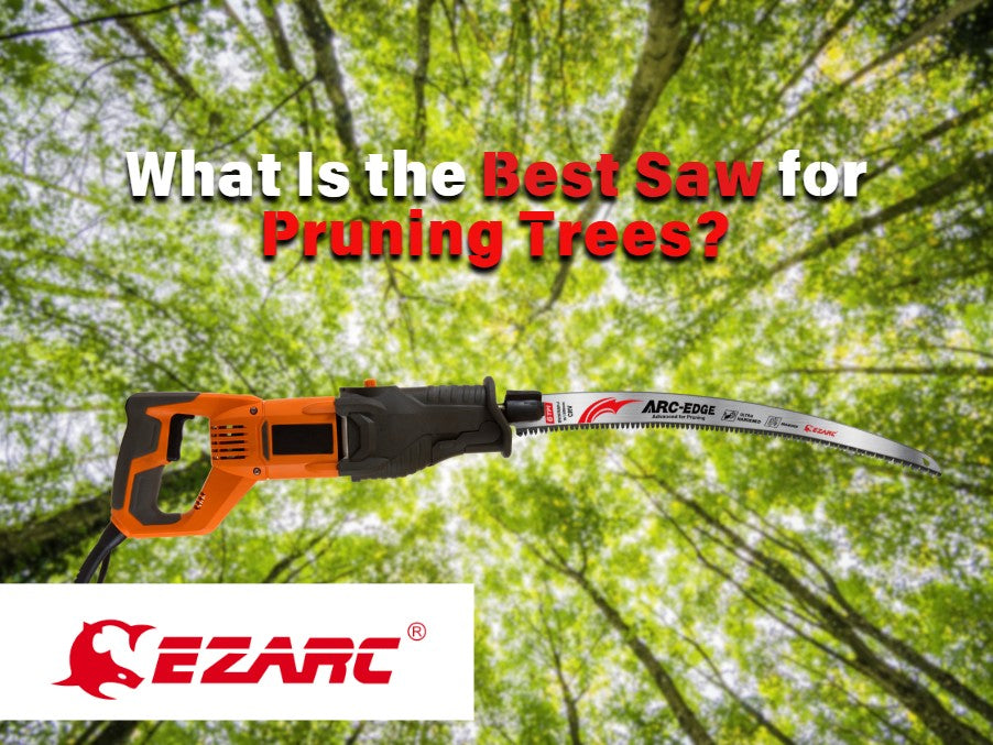 What Is the Best Saw for Pruning Trees?