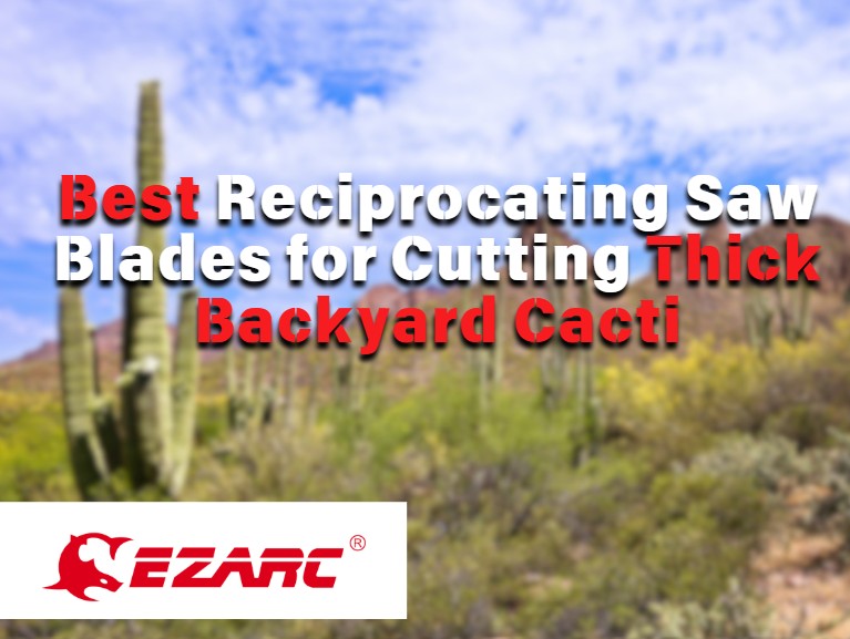 Best Reciprocating Saw Blades for Cutting Thick Backyard Cacti