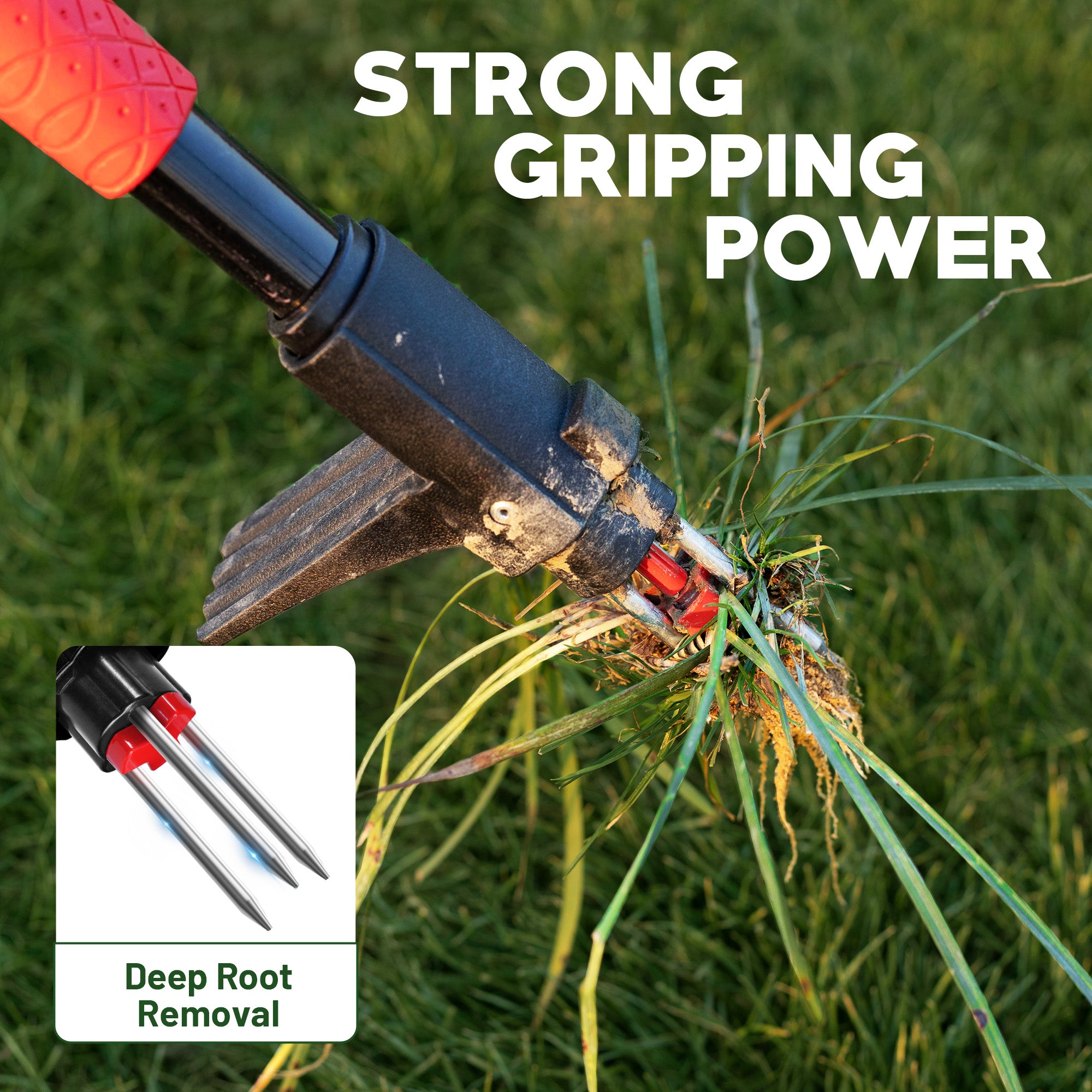 EZARC Stand Up Weed Puller Tool,  Long Handle with Easy-Eject Mechanism, L-Shape Crack Weeder (2 Pack) - EZARC Tools